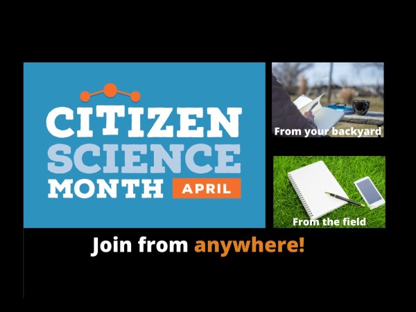 Citizen Science Month, April