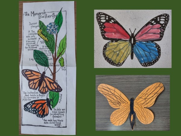 Paper monarchs