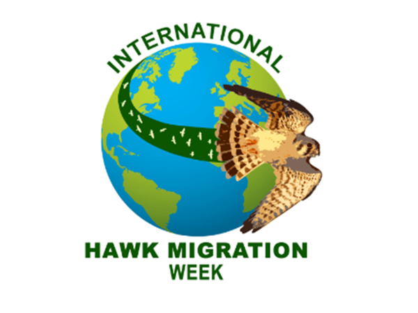 International Hawk Migration Week logo