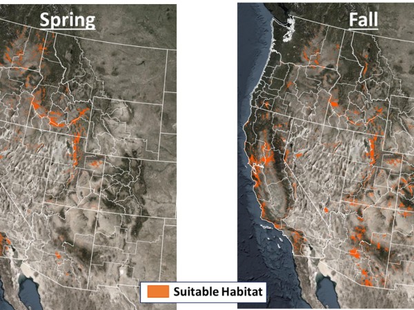 Results of habitat modeling, showing areas with suitable habitat for migrating monarchs during the spring and fall. The thin white lines delineate BLM field office administrative units.