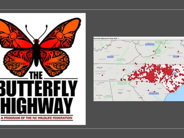 Butterfly Highway map and logo
