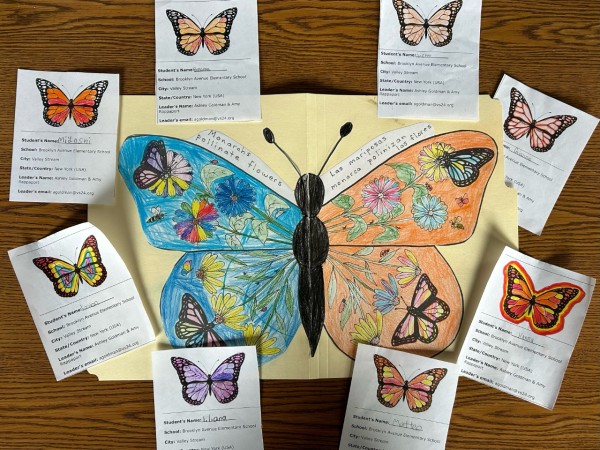 monarch butterfly designs