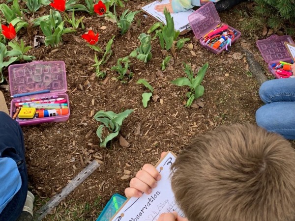 A group of second graders writes on paper sitting around group of blooming tulips