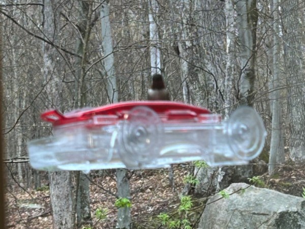 A hummingbird on a window feeder, with trees in the background