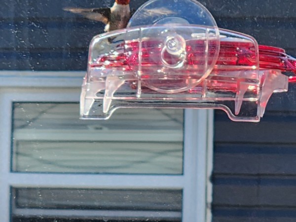 A male ruby-throated hummingbird at a window feeder
