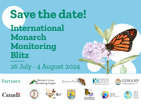 A photo that states "Save the Date!" International Monarch Monitoring Blitz 26 July - 4 August 2024