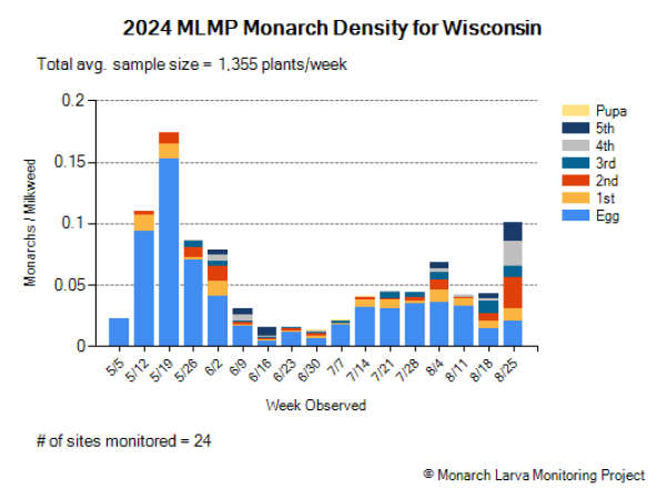 A graph showing monarch density from Wisconsin in 2024, peaking in late August, though lower than in spring