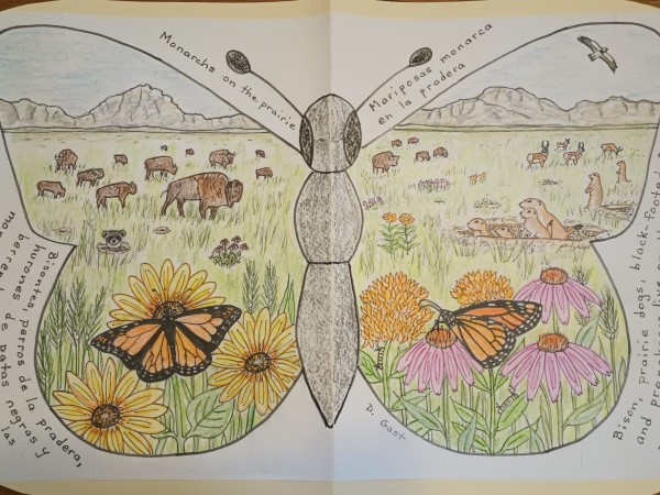 A drawn picture of a prairie ecosystem in a butterfly outline