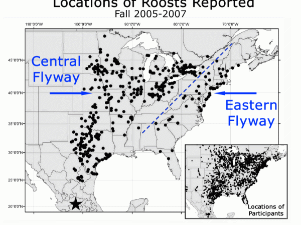 A map showing two flyways of monarch butterflies -- the Central Flyway through states like Missouri and Oklahoma and Texas into Mexico and the other the Eastern Flyway which follows the Atlantic Coast more closely