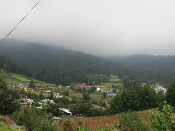 A misty, foggy day in the mountains of Mexico