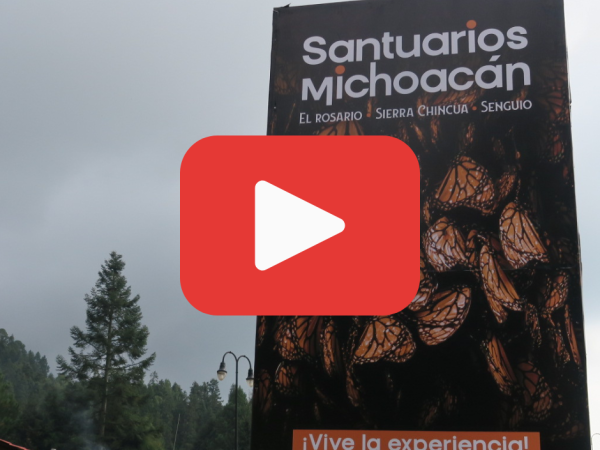 A photo of a sign at the Monarch Biosphere Reserve with a red play button to watch a YouTube video