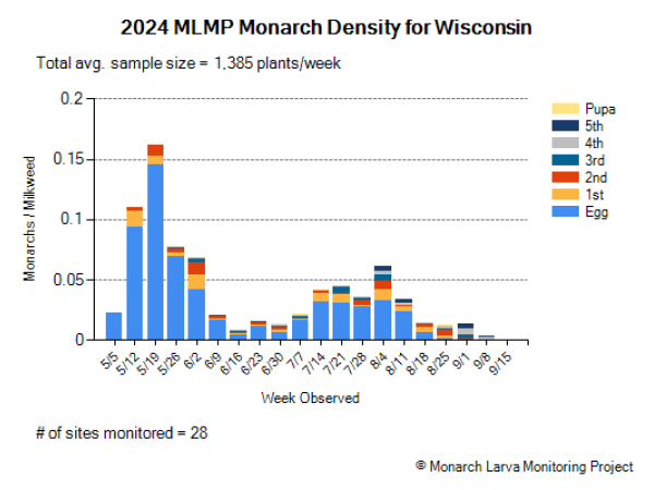 Graph showing 2024 Wisconsin monarch density data from the Monarch Larva Monitoring Project