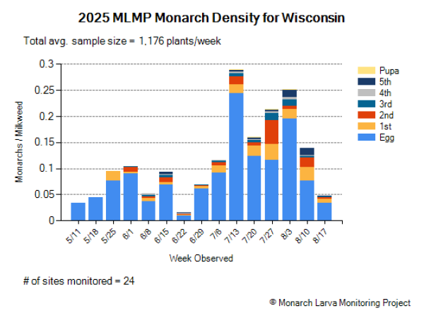 A graph showing monarch density in Wisconsin in 2025