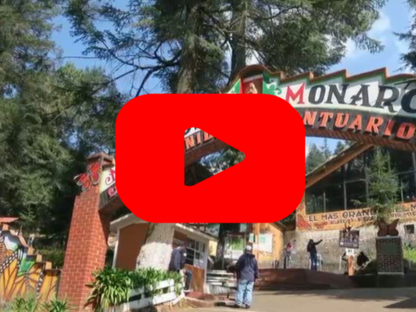 The monarch butterfly sanctuaries with a red play button