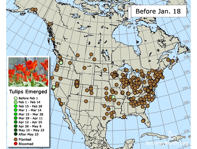 Journey North | Citizen Scientists Studying Plants, Climates, and the ...